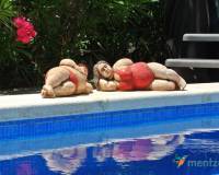 Resale - Villa - 0 - La Marina