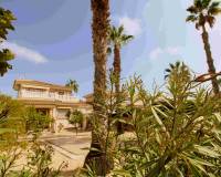 Resale - Detached Villa - Villamartin - Los Dolses