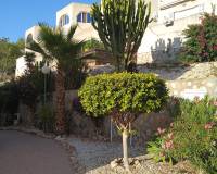 Resale - Apartment - San Miguel De Salinas - Los Pinos