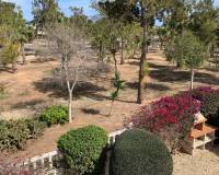 Resale - Detached House / Villa - Guardamar del Segura - Guardamar - El Raso