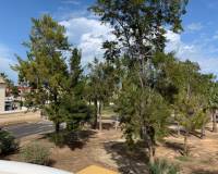 Resale - Detached House / Villa - Guardamar del Segura - Guardamar - El Raso