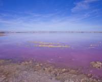 Resale - Villa - Torrevieja - Los Altos