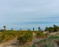 Resale - Villa - Torrevieja - Los Altos