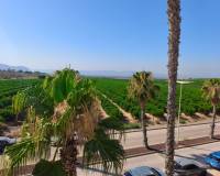 Resale - Semi Detached House - Algorfa - La Finca Golf Resort