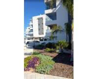 Resale - Apartment - Villamartin - Los Dolses