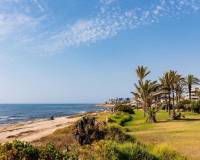 Resale - Apartment - Torrevieja - La Veleta