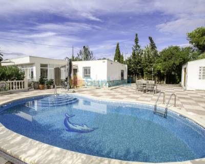 Detached Villa - Till Salu - Albatera - RE-50347