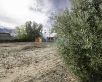 Segunda Mano - Detached Villa - Albatera