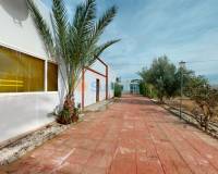 Segunda Mano - Detached Villa - Albatera