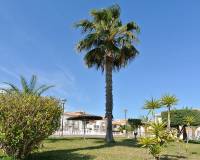 Resale - Duplex Corner - Torrevieja - Aguas Nuevas, -