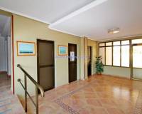 Resale - Apartment - Torrevieja - Pinomar/La Mata