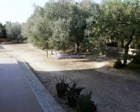 Resale - Country House - La Marina - La Marina/San Fulgencio