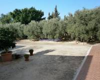 Resale - Country House - La Marina - La Marina/San Fulgencio