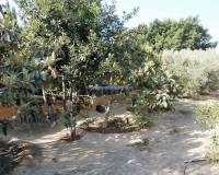 Resale - Country House - La Marina - La Marina/San Fulgencio