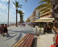 New Build - Apartment - Torrevieja - Playa del Cura