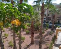 Resale - Apartment - Torrevieja - Playa Los Locos, Costa Blanca South