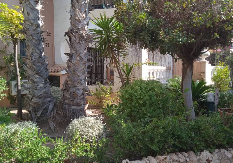 Apartment - Resale - Torrevieja - Playa Los Locos, Costa Blanca South