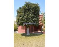 Resale - Independent VIlla - Orihuela Costa - La Zenia