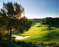 Obra Nueva - Apartamento - Orihuela Costa