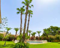 Segunda Mano - Villa de Lujo - Villamartin